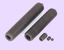 ���ƾo�����