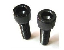 12.9���������ݽz