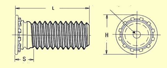 ���T��ᔈD��