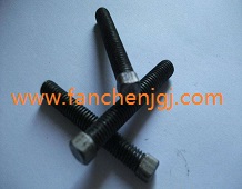 ���^�o�����