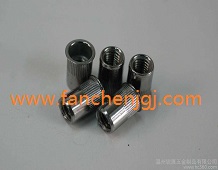 С���^���T��ĸ