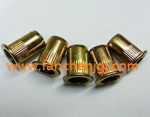 ���^���T��ĸ