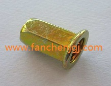 ��ñ���T��ĸ