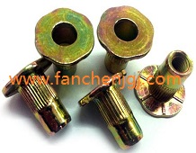 ���^���T��ĸ