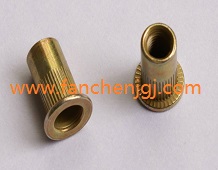 ���^ä�����T��ĸ