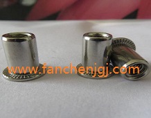 ƽ�^�A���T��ĸ