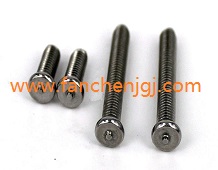 ���Ɖ��T���