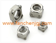 ��������ĸ