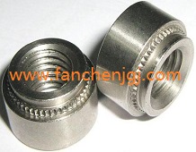 ���P䓉��T��ĸ