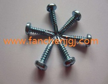 �������Թ��i�o���