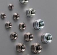 ���P䓉��T��ĸ